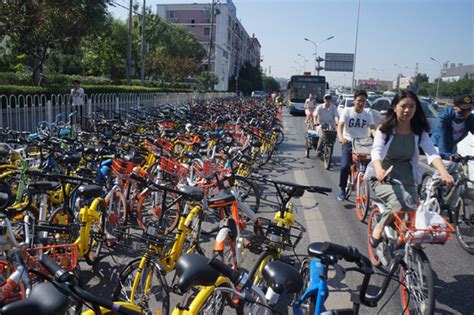 蘭州有什麼共享單車：共享單車如何改變了城市的運作模式？